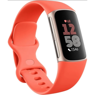 Google Fitbit Charge 6 智能運動手錶（珊瑚橙）【平行進口】