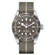 Tudor Tudor Tudor 1958 Series 925 Silver Automatic Mechanical 39mm Men's Watch Luminous M79010SG0002