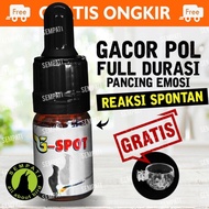 Ready Stock - G-Spot Gspot G Spot Vitamin Suplemen Penggacor Burung