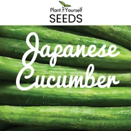 [190 seeds] SEEDS Japanese Cucumber