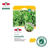 160Biji Benih Salad Kubis/Iceberg Lettuce Seed/Salad Bola/Salad Bulat /Cap Panah Merah / East West S