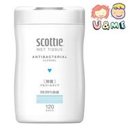 Scottle - 99.99%除菌酒精抽取式桶裝濕紙巾120枚 - 藍色 ✥ [70150] (平行進口貨)