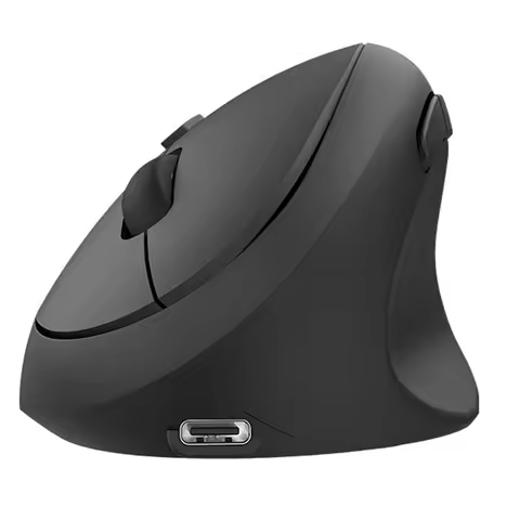 Quiet Clicks, 1600 DPI Adjustable, 2.4G Connect, Ergonomic, Bluetooth Wireless Vertical Mouse, Recha