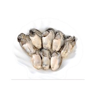 Oyster Meat (1kg) 牡蛎肉/ 蚝肉 Sung Tao Frozen Seafood Shellfish Oyster Isi Tiram