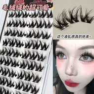 Glue-Free 20 Row Large Flower Roll 5D Thick Novice Simulation Eyelashes False Eyelashes Single Clust