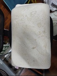 #1777 海馬牌記憶型枕頭 Seahorse Pillow