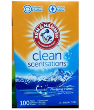 Arm &amp; Hammer Fabric Softener Sheets Classic 100sheets