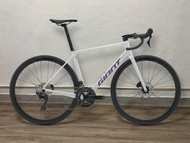 Giant 2027 TCR Adv 2 公路車 爬坡車 全能車