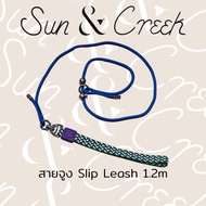Dog Training Slip Leash 1.2m Twitching