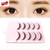 (BC) 5 Pairs Handmade 3D Volume Mink Hair False Eyelashes / Natural Thick Long Eye Lashes / Beauty M