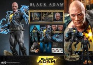 【CEO】現貨  野獸國 HOT TOYS DX30 黑亞當 豪華版