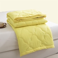 Soybean Cotton Summer Quilt Thin Wadding Blanket Cute Printing Four Seasons Quilt Bedding Duvet Blan