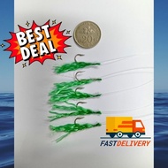 [5 MATA] Bulu Apollo | Perambut Apollo | Bulu ngaca