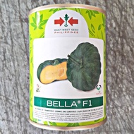 BELLA F1 HYBRID SQUASH (50 GRAMS APPROX. 425 SEEDS) KALABASA by EAST WEST