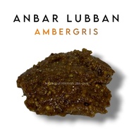 Anbar Lubban Resin - Ambergris | Rare Frankincense Wisdom Expert