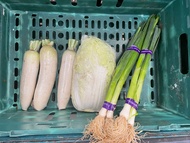 IPOH VEGE - CHINESE CABBAGE / WHITE LOBAK/ LEKIO CHINA COMBO ( total 6 items 2.9kg+/- ) - L18