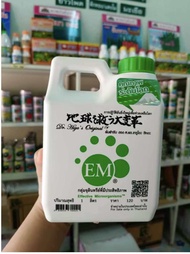 EM-1 EFFECTIVE MICROORGANISM BAJA ORGANIC PERTANIAN & TERNAKAN
