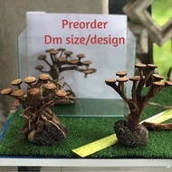 BONSAI AQUASCAPE/ PREORDER