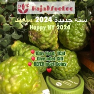 [MyStream Special Occasion Sale🎈 ~ Skincare] Daily Beauty Regime (Serum) & adhoc live lock item