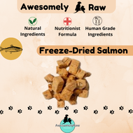 Freeze-dried Salmon Cube Pet Snack Pet Cat Treats 宠物零食 三文鱼冻干块 手工零食 手工宠物零食 天然零食 宠物冻干零食