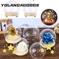 YOLA Glass cloche Terrarium Tabletop Plants Spherical Terrarium Jar Transparent Bottle Flower Storage box