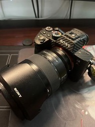 Sony a7r3 + Sony FE 24-105mm F4 G OSS 鏡頭