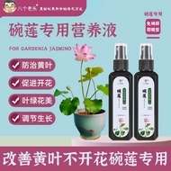 ️Bowl Lotus Special Nutrient Solution Lotus Water Lily Flower Growing Fertilizer Hydroponic Ornament