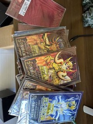 聖衣神話12黃金+9青銅+教皇