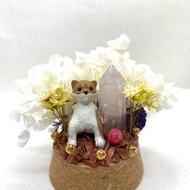 柴犬與粉晶柱/紅紋石-水晶公仔乾燥花擺設