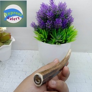 pipa once cangklong tanduk rusa asli original X 05