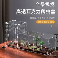 Reptile Insect Acrylic Breeding Small Box Snail Beetle Box Box Breeding Set Fairy Unicorn Transparen