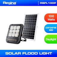 Regina Solar Floodlight heavy duty outdoor lighting 100 watts, 200 watts, 300 watts, 400 watts