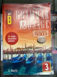 Developing skills grammar and usage 3