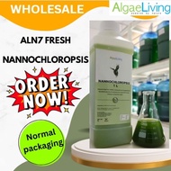 (WHOLESALE) Algae Living Fresh Nannochloropsis for Rotifer Daphnia Fishfry Shrimp Coral/Air Kutu