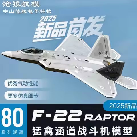Freewing 80mm EDF F-22 Raptor Electric RC Jet Plane 6S PNP Kit+servo Retractable Landing Gear EPO Pl