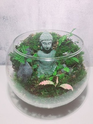 【苔療癒】佛像禪意-生態瓶DIY材料包