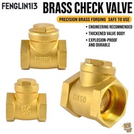 FENGLIN1I3 Swing Check Valve, 1/2" 3/4" 1" 1-1/4" 1-1/2" 2" Female Thread Non-Return Valve, Durable 