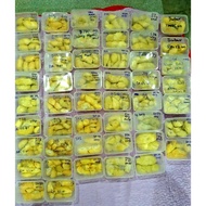 【FROZEN】(Dusun Tok Wa) Durian Kampung, Musang King,D101, D24, Udang Merah, Chanee Mas, Tempoyak- 1 p