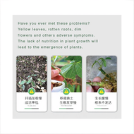 Baja Kopi Baja Gemuk Untuk Daun Organic Fertilizer Baja Buah 555 Baja Subur Tanaman 1Kg