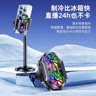 Cross-border Digital Display Semiconductor Adjustable Refrigeration Dual Fan New Model for Mobile Ph