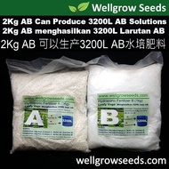 2KG AB Hydroponic fertilizer baja Leafy 營養复合肥料粉狀濃縮劑[蔬叶] Creates 3200L AB Solution Baja AB Fertigasi 