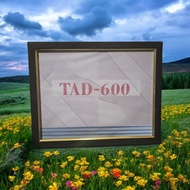 TAD wall frame design