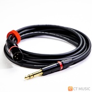888 Cable Premium TRS to XLR Cable (Male)