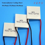 FEPS Semiconductor Cooling Sheet, 30x30mm 40x40mm Refrigeration Plate, High Quality TES1-07102 TEC1-