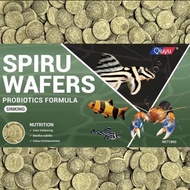 QIUYU Spiru Wafers For All types of Pleco and Crayfish and also other algae eating bottom feeders Tropical fish.