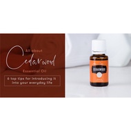 cedarwood essential oil YL