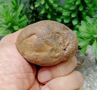 天然台灣奇石鐵丸石小擺件/龜甲石，自然形成雅石小擺件，原石原礦，重約150公克，珍藏品出清150元