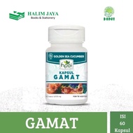 Gamat Kapsul HNI HPAI Mengatasi Sakit Pinggang Suplemen Tulang dan Sendi