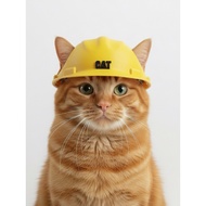 CAT hat | Cat hat | Construction Helmet for cat | Vacking Helmet for cat | Cat clothes | Accessories