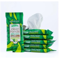 Sanicare Clean Hands Sanitizing Mini Wipes (Pack of 6)